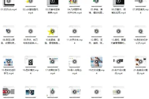 CorelDRAW视频教程(基础篇27节进阶篇23节)包含教程素材