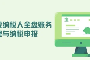 一般纳税人全盘账务处理与纳税申报