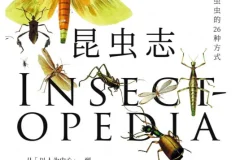 《自然万物科普百科：昆虫志、大自然的社交网络、森林的奇妙旅行》(套装共3册)[EPUB]