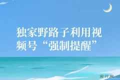 独家野路子利用视频号“强制提醒”，不需剪视频发作品，无脑操作就进流量，单日引流100+创业粉