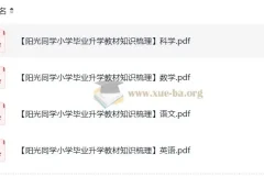 阳光同学小学毕业升学 小升初 教材知识梳理