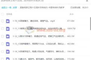 【针灸教学】医脉相承王瑶十五组针灸特效方-中医特效针灸教学