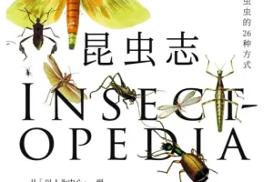《自然万物科普百科：昆虫志、大自然的社交网络、森林的奇妙旅行》(套装共3册)[EPUB]