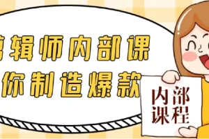 IP剪辑师内部课教你制造爆款