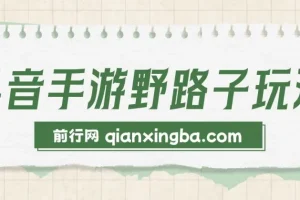 抖音手游野路子玩法，单视频收益4000+，日入几千轻轻松松