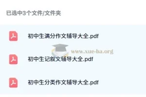 全胜宝典初中作文辅导大全