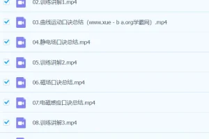 武文成 2024高三高考物理 春季班