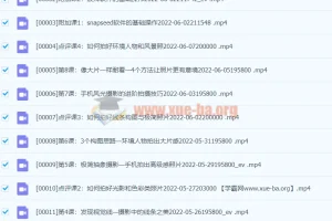 【杨精坤】手机进阶提升训练营 手机风光摄影的进阶拍摄技巧-手机摄影21天提升训练营拍出有意境的照片