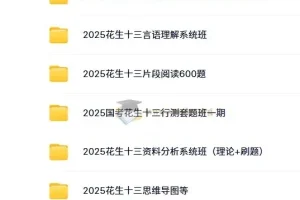 2025年国家公务员考试【H生】行测/申论系统班