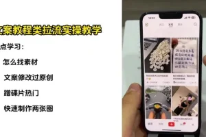 刘不落抖音图文带货0-1实战教程：从入门到爆单