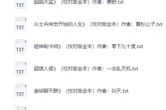 《精校200W字以上长篇小说100部》质量高口碑好可以一追[txt]