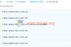 黄冈名师 升级版人教版初中语文合集
