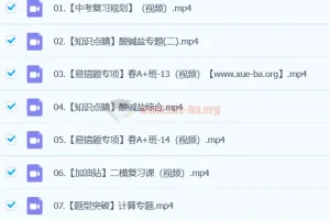 2024初中初三中考化学 寒假春季班 陈耀泉