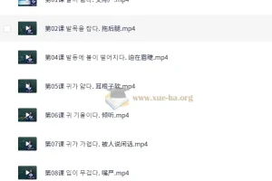 学韩语做疯狂韩语达人60课时 【5.87 GB】