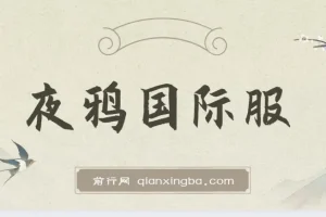 最新上线游戏大作《夜鸦国际服》，无脑搬砖，单机500+