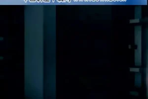 刘国东企业税务风险管控7讲：老板必修课