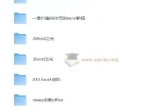 大厂内训最强office教程大合集 原价8888打工人必备 [34G]