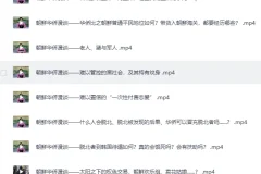 《B站李唐yo充电视频合集精选》揭秘真实的朝鲜[MP4]