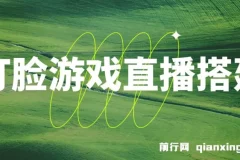 最新打脸扇巴掌游戏无人直播玩法，礼物互动整蛊