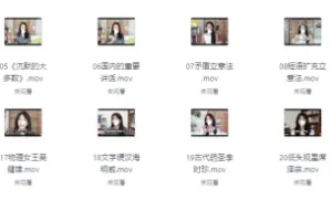 B站精品课《梦章的有效阅读与写作课》