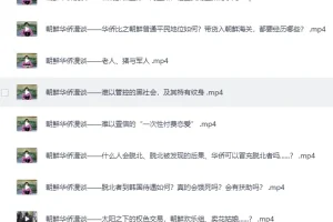 《B站李唐yo充电视频合集精选》揭秘真实的朝鲜[MP4]
