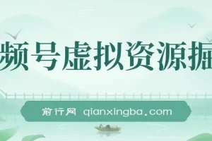 视频号虚拟资源掘金，0成本变现，一单69元，单月收益1.1w