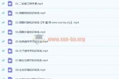 2021高一化学 康永明 秋季课【完结】