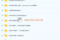 初中物理 初三物理视频教程 12章合集