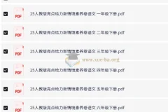 小学语文 2025人教版亮点给力新情境素养卷