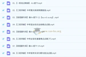 初三中考语文刘璐语文 2024-2025 A+班 秋季 寒假班 春季班