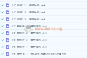 爱上语文 古代六大名著解读26讲完结