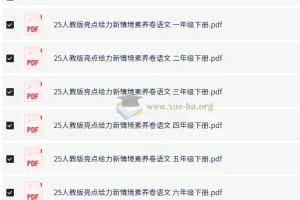 小学语文 2025人教版亮点给力新情境素养卷