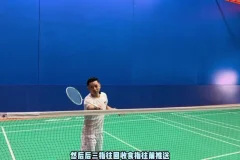 迪迪王羽毛球38节假动作实战课：前场中场后场全解析