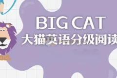 英语启蒙分级读物 《柯林斯大猫 Big Cat (点读PDF+音频)》
