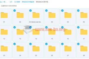 新标准日本语中级 孙晓杰