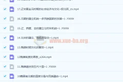 2023年高考历史 段北辰 全程班一阶段 更新18讲