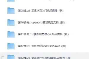 《路飞Python人工智能AI工程师》[MP4]