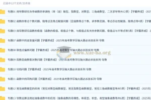 2025年高考数学压轴大题必杀技系列·导数