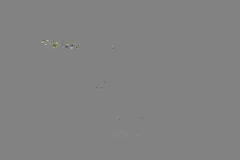 西瓜视频流量掘金蓝海项目:小白暴力玩法日入数百