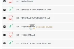 【完结】小学科学思维课·进阶篇