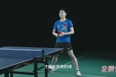 国手亲授：乒乓球系统训练全攻略