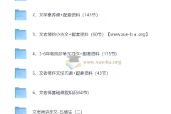 文老师语文课程合集（学习方法 基础知识 小古文 文学素养 阅读 作文 ）298GB