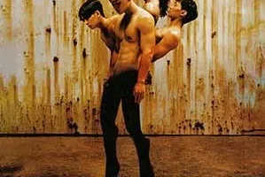 傻子与白痴《姿态》[无损FLAC/MP3/544MB]