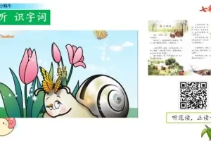 1-6年级语文上册同步精讲视频