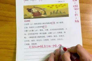 叶子老师小学语文：小古文高效学习法