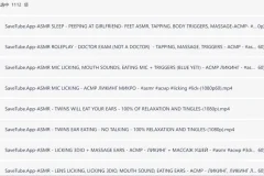 《历年收集的1000多个国内外高质量美女主播ASMR助眠哄睡视频合集》 持续更新[MP4][182.2G]