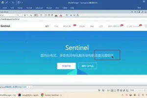 SpringCloud2024实战：微服务架构与源码深度解析