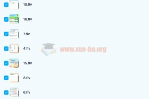 刘飞飞 2021秋 初三中考英语目标A+16讲带讲义完结