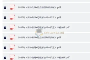 2025 初中数理化 母题解法举一反三