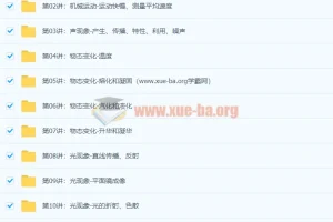 初二物理年卡目标满分班（人教版）【60讲杜春雨】